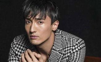 娱乐吃瓜君国内人气男团,国内人气男团背后的故事与魅力